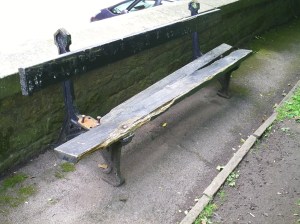 pyethon-lancaster-pict0606-1296