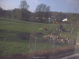 THE TREE IS SHREDDED