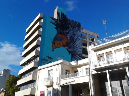 img_20170102_143200-bird